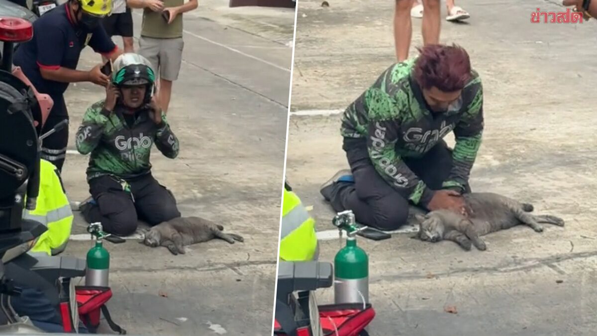 นาทีชีวิต ไรเดอร์วิ่งขึ้นคอนโดไปช่วยแมว หลังเกิดไฟไหม้ คราบเขม่าเต็มตัว ปั๊มหัวใจยื้อชีวิต