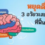 ปรับพฤติกรรม ฟื้นฟูสมองที่คุณรัก หลังหยุดดื่มแอลกอฮอล์