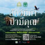 กระทรวงทรัพยากรฯ - เครือซีพี ชวนส่งประกวดภาพถ่ายในโครงการ “สัตว์มีค่า ป่ามีคุณ”