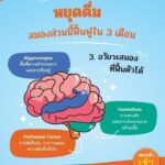 ปรับพฤติกรรม ฟื้นฟูสมองที่คุณรัก หลังหยุดดื่มแอลกอฮอล์