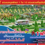เที่ยวสวนนงนุชพัทยา สุดคุ้ม! ซื้อ 1 แถมฟรีอีก 1 ตลอดเดือนส.ค.นี้