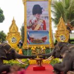 สวนนงนุชฯ จัดช้าง 73 เชือก แปรขบวนเทิดไท้องค์ราชัน สุดตระการตา 