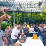 สวนนงนุชฯ ปลอก 'มะพร้าวทะเล' หายาก พบเมล็ดมูลค่าทะลุล้านบาท 