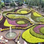 สวนนงนุชฯ จัดช้าง 73 เชือก แปรขบวนเทิดไท้องค์ราชัน สุดตระการตา 