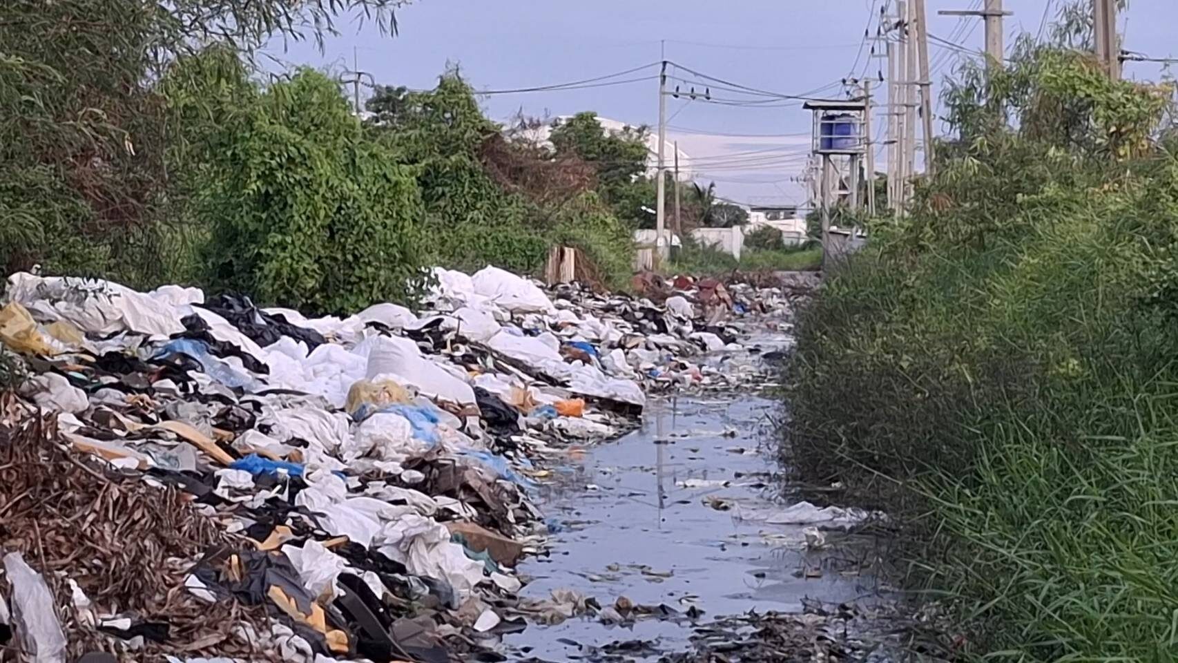 Illegal waste dumping plagues Bang Phli residents | News by Thaiger