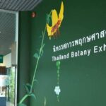 กรมอุทยานฯ ชูหอพรรณไม้ สร้างแรงบันดาลใจเยาวชนหันมาทำงานอนุรักษ์สิ่งแวดล้อม