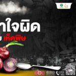 ช่วงหน้าฝน สธ. เตือนภัย 'เห็ดพิษ' ย้ำ 'ไม่รู้จัก ไม่แน่ใจ ไม่เก็บ ไม่กิน' ห่วงเสียชีวิต
