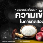 ช่วงหน้าฝน สธ. เตือนภัย 'เห็ดพิษ' ย้ำ 'ไม่รู้จัก ไม่แน่ใจ ไม่เก็บ ไม่กิน' ห่วงเสียชีวิต