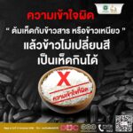 ช่วงหน้าฝน สธ. เตือนภัย 'เห็ดพิษ' ย้ำ 'ไม่รู้จัก ไม่แน่ใจ ไม่เก็บ ไม่กิน' ห่วงเสียชีวิต