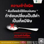 ช่วงหน้าฝน สธ. เตือนภัย 'เห็ดพิษ' ย้ำ 'ไม่รู้จัก ไม่แน่ใจ ไม่เก็บ ไม่กิน' ห่วงเสียชีวิต