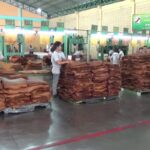 เศรษฐกิจทรุด! ราคายาง-ปาล์มตกต่ำ ฉุดรายได้วูบ เร่งรัฐอัดงบฯ ดันคนละครึ่ง-ฟื้นท่องเที่ยว 