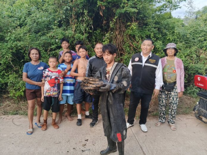 สลด เด็ก 2 ขวบ ถูก ต่อหัวเสือรุมต่อยจนเสียชีวิต พ่อเข้าช่วยกอดลูกไว้ โดนด้วยอาการสาหัส 