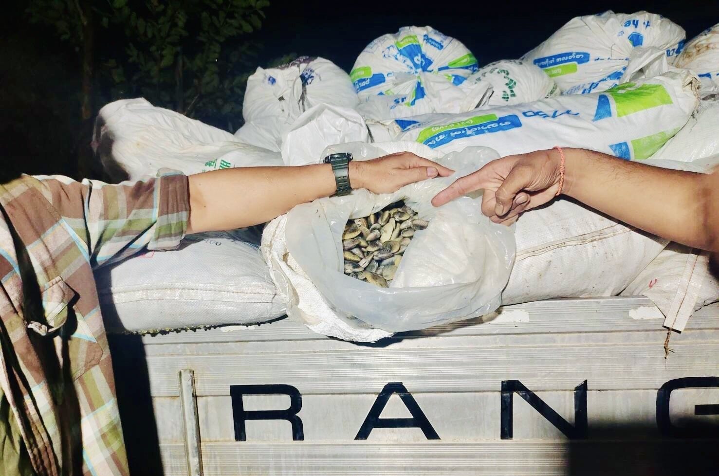 Thai national caught smuggling 3 tonnes of clams from Myanmar | News by Thaiger