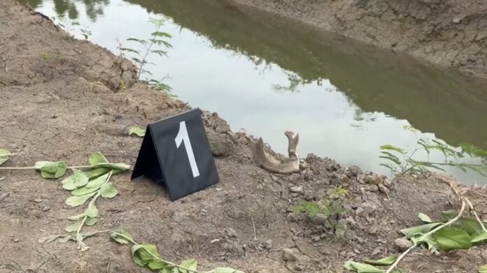 Mystery as human skull found in Samut Songkhram coconut grove | News by Thaiger