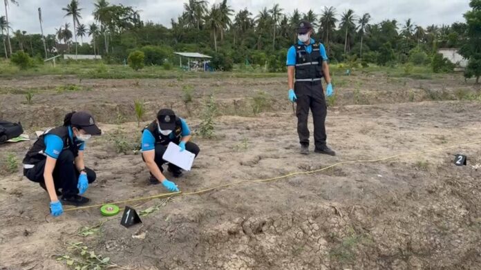 Mystery as human skull found in Samut Songkhram coconut grove | News by Thaiger