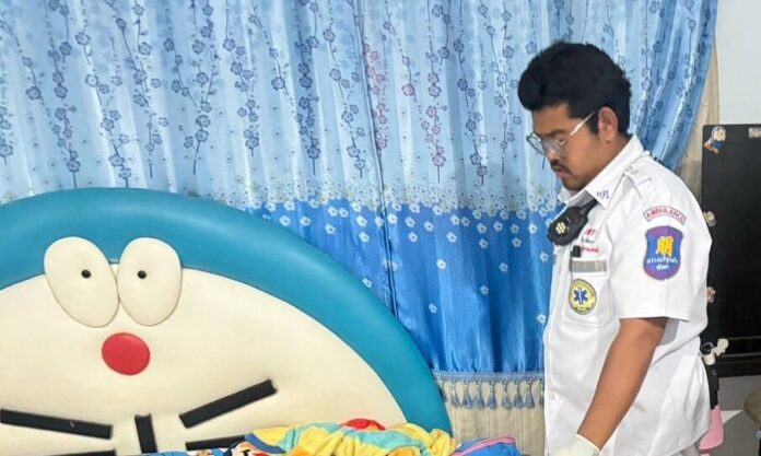 Former son-in-law charged with fatal stabbing in Chon Buri | News by Thaiger