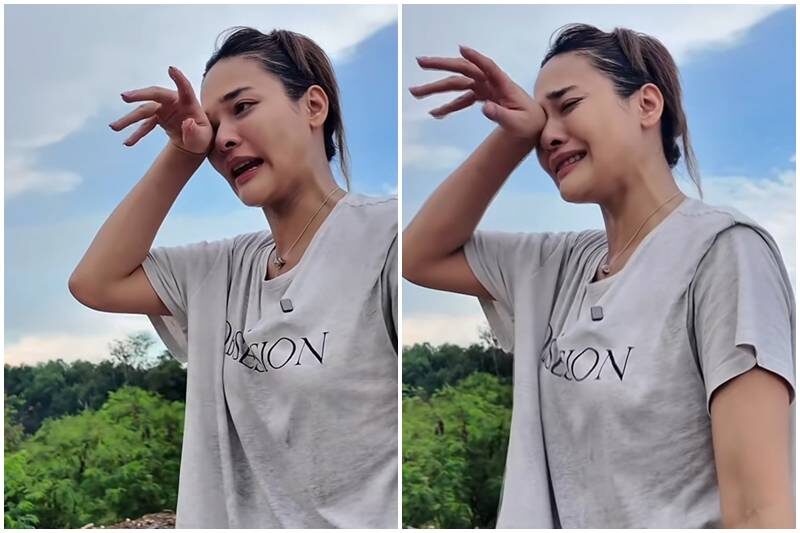 ปุ๊กลุก เลี้ยงข้าวหมาจร 700 ตัว ในวันเกิด อายุ 35