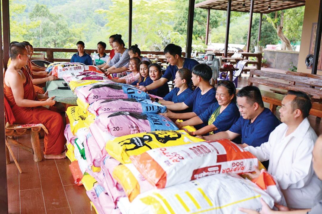 เพื่อนตัวเล็ก - พระครูจังหวัดเชียงใหม่ ทอดผ้าป่าอาหารหมาแมว
