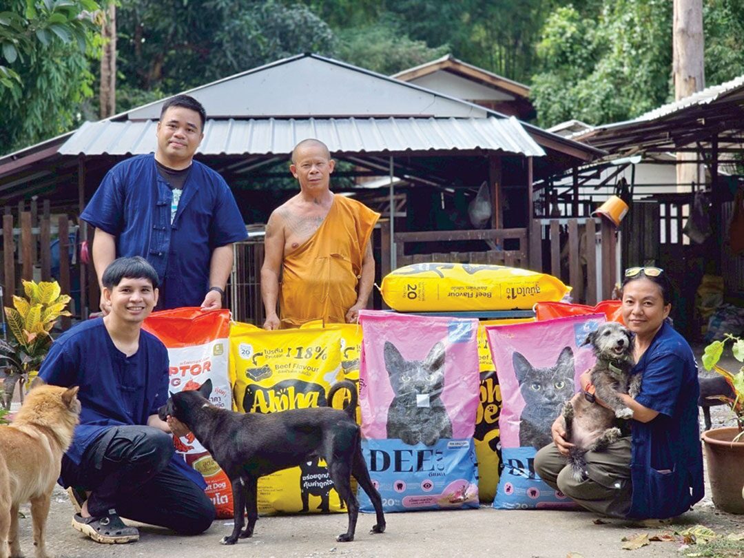 เพื่อนตัวเล็ก - พระครูจังหวัดเชียงใหม่ ทอดผ้าป่าอาหารหมาแมว