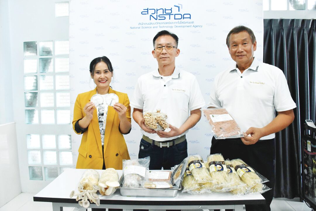 หลาก&หลาย - พัฒนา‘เห็ดแครงสายพันธุ์ใหม่’ ไบโอเทคโชว์ออกดอกเร็ว-ใหญ่-รสชาติดี