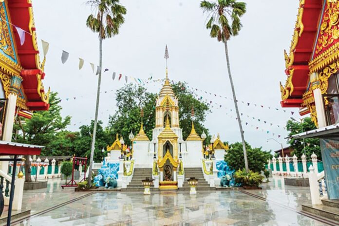 รายงานพิเศษ