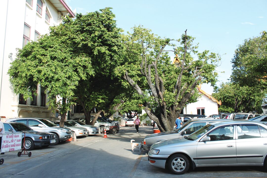 เที่ยววัด-วันหยุด - วัดมหาธาตุยุวราชรังสฤษฎิ์ ท่าพระจันทร์ กรุงเทพฯ