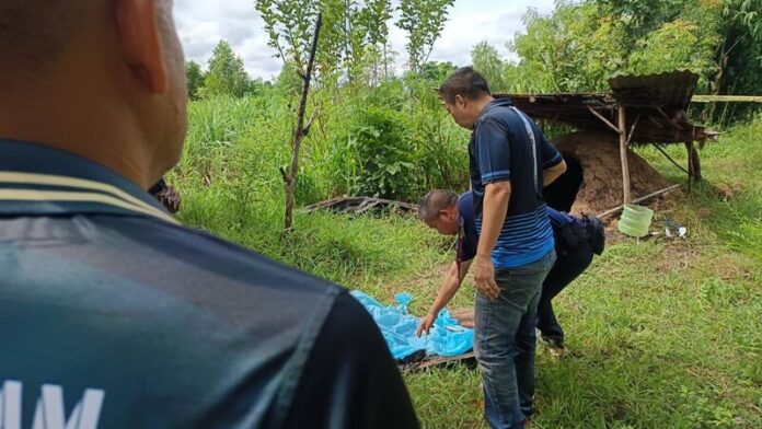 Khon Kaen locals find newborn's remains in sugarcane field kiln | News by Thaiger