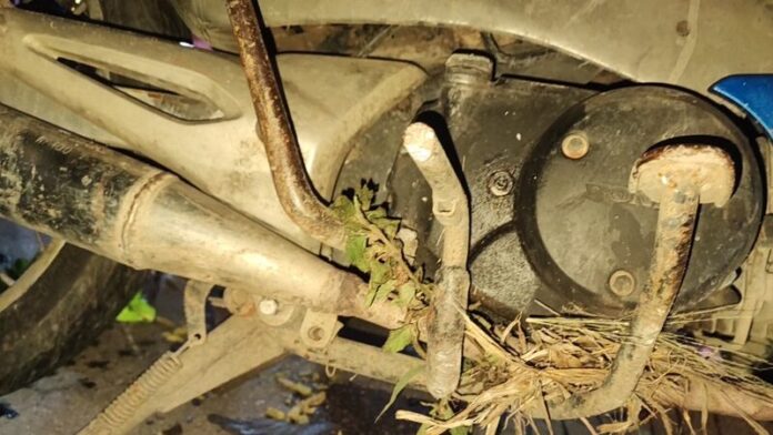Laotian man survives horrific motorcycle accident in Chachoengsao | News by Thaiger