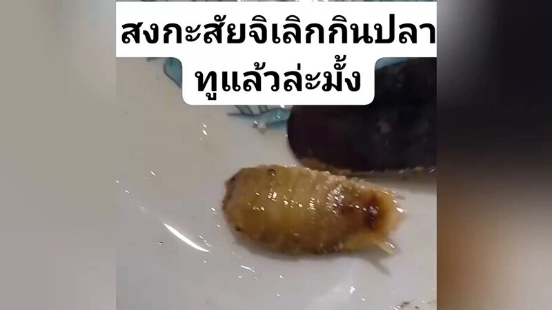 อวสานมื้ออาหาร มันคือตัวอะไร โผล่ในหัว ปลาทู แห่คอมเมนต์สนั่น เผย ซื้อมาจากตลาดแห่งหนึ่ง ทำเอากินไม่ลง บอกคงไม่กล้าไปอีกนาน