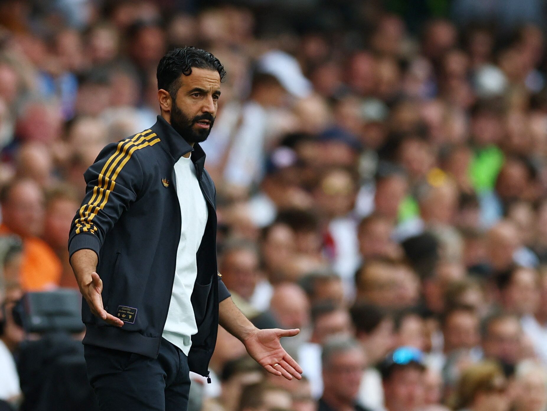 Cintia cossio desnudas