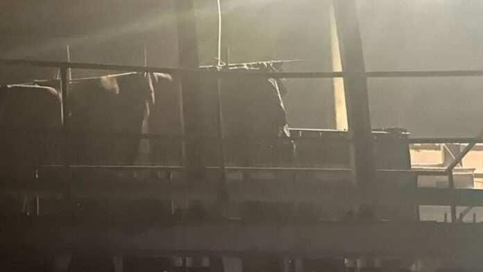 Fatal accident at Prachin Buri steel plant claims worker's life | News by Thaiger