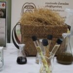 ม.กรุงเทพธนบุรี-มูลนิธิทันตนวัตกรรมฯ เปิดตัวยาสีฟันนวัตกรรมใหม่ 'BTU Dentistry'