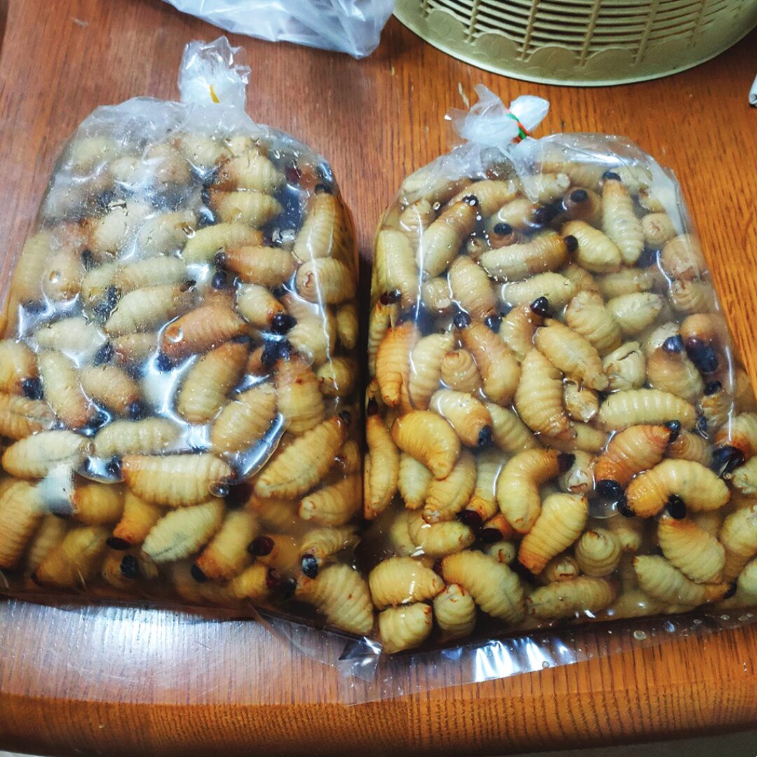 หลาก&หลาย
