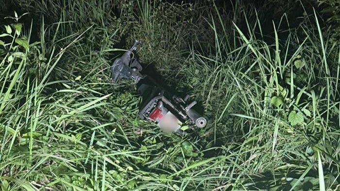 Gruesome murder mystery unfolds in Trang forest | News by Thaiger