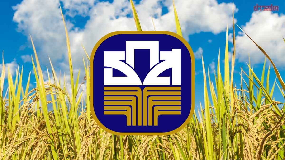.ธ.ก.ส. ประกาศพร้อมจ่ายเงินชาวนา ไร่ละพัน จำนวน 8.5 แสนราย ภายใน 3 วัน.