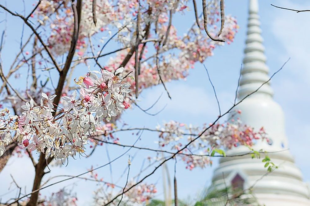 เที่ยววัดวันหยุด - วัดญาณสังวราราม จ.ชลบุรี พระอารามหลวง 2 ประมุข