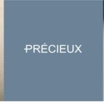 PRÉCIEUX ตัวแทนจำหน่ายนาฬิกาแบรนด์อิสระ จัดงานเปิดตัวนาฬิการะดับสูง 5 แบรนด์พร้อมกัน!