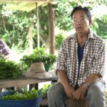 เกษตรกรที่อุดรฯ ชี้น้ำบาดาล 300 ไร่ ทำชีวิตมั่นคง ฟันรายได้ 500 บาท ต่อวัน