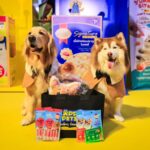 เซเว่น อีเลฟเว่น จับมือ PCG จัด “Me-O x Billkin Happy Pets”