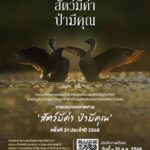 ก.ทรัพยากรฯ-เครือซีพี ชวนส่งประกวดภาพถ่ายในโครงการ “สัตว์มีค่า ป่ามีคุณ”