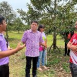 สพข.11 ส่งเสริการผลิตทุเรียนตามระบบการเกษตรปลอดภัย