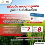 XAG Thailand เปิดอบรม “นักบินโดรนเกษตร” ฟรี 7–8 ส.ค. รู้ทันกฎหมาย พร้อมวางแผนอาชีพ