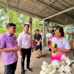 เปิดบ้านศูนย์เรียนรู้เกษตรอินทรีย์ PGS เสวียด จังหวัดสุราษฎร์ธานี