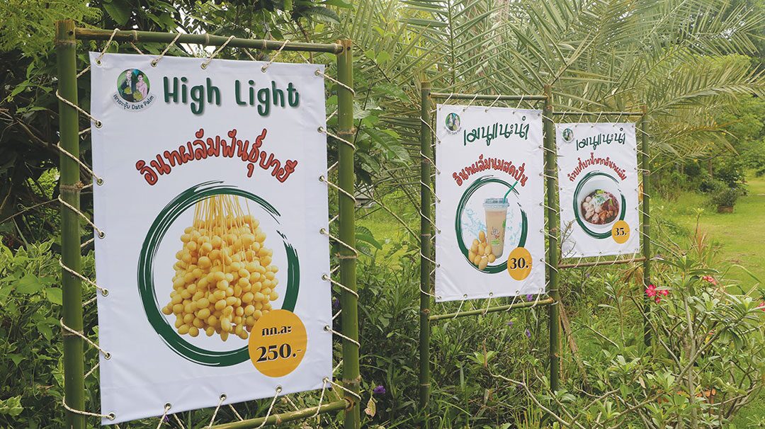 หลาก&หลาย - ชิมอินทผลัมเขาชะงุ้ม Date Palm ปิ๊งใส่ในข้าวผัดอเมริกัน-ก๋วยเตี๋ยว-ไอศกรีม