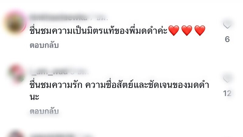 มดดำ