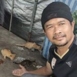 อีกชีวิตที่หิวโหย หมา-แมว ชายแดนช่องจอม อดข้าวผอมโซ เปิดรับบริจาคอาหารสัตว์ ส่งตามหมู่บ้านพื้นที่สู้รบ