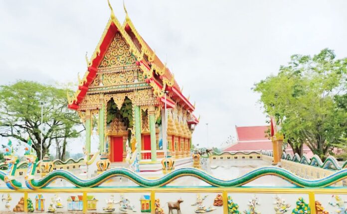 รายงานพิเศษ