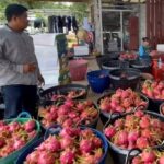 เกษตรกรภูเรือ โอดครวญ แก้วมังกร ราคาตก กิโล 2 บาท ต่ำสุดในรอบ 10 ปี วอนรัฐบาลช่วยด่วน