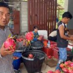 เกษตรกรภูเรือ โอดครวญ แก้วมังกร ราคาตก กิโล 2 บาท ต่ำสุดในรอบ 10 ปี วอนรัฐบาลช่วยด่วน