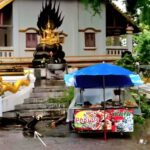 ระทึก แม่ค้าลูกชิ้นหวิดดับ พายุซัดกิ่งมะขามโค่นใส่ เชื่อรอดปาฏิหาริย์ พระห้อยคอคุ้มครอง